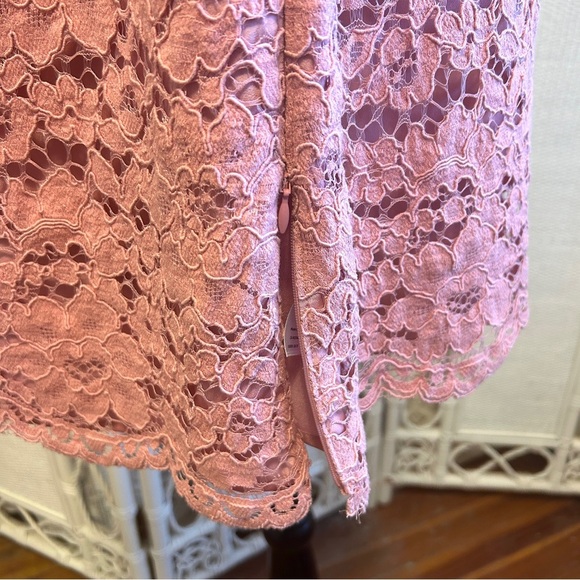 Talbots Top Dusty Rose Lace Blouse Short Sleeve Lined Scallop Hem Plus size 18W - Picture 7 of 15